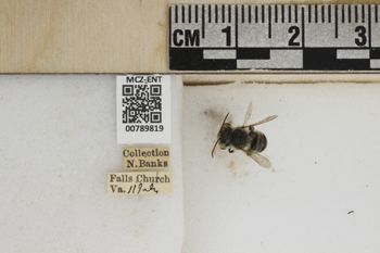 Media type: image;   Entomology 789819 Aspect: Labels